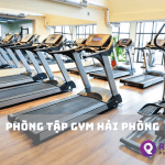 20 phòng tập gym Hải Phòng chất lượng giá chỉ từ 350K/ tháng