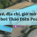 ho boi thao dien pearl, hồ bơi thảo điền pearl